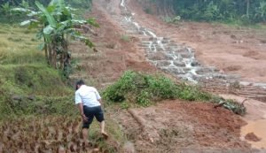 5 Ha Sawah di Palabuhanratu Gagal Panen Tertimbun Longsor￼