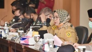 Ade Yasin Sebut Pemkab Bogor kekurangan PNS￼