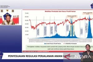 Pemerintah Tidak Lagi Batasi Mobilitas Warga saat Libur Panjang￼