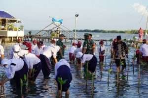 Tanam Bibit Pohon Mangrove Aksi Nyata Perbaiki Lingkungan