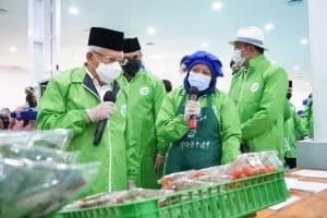 Wapres Tinjau Batamindo Green Farm di Karawang