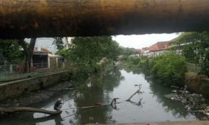 Sungai di Cirebon Penyumbang Terbesar Pencemaran Lingkungan