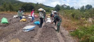 Satgas Pamtas Yonarmed 5/105 Tarik/PG Kodam III/Slw Berikan Pendampingan Ketahanan Pangan Di Lembudud