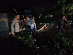 Hujan Deras Akibatkan Pohon Tumbang Di Ciomas, Pihak Kepolisian Lakukan Rekayasa Arus Lalin