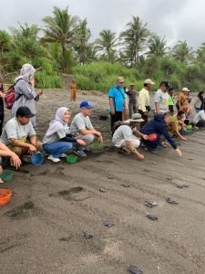 Penanaman 3000 Mangrove dan 50 Ekor Tukik PT Pegadaian Kanwil Bandung
