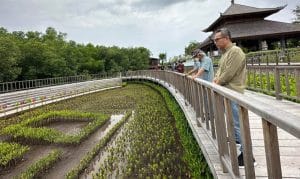 Optimalkan Program OPOR Infrastruktur PUPR, Menteri Basuki Tinjau Konservasi Hutan Mangrove Tahura Pasca KTT-G20 di Bali