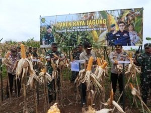 Peran TNI Mendukung Transformasi Ekonomi Yang Inklusif