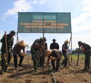 Kodim Sumedang Hijaukan 1,3 Hektar Area Greenbelt Bendungan Jatigede Dengan Tanami Jagung