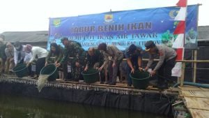 Pangdam III/Siliwangi Tabur Benih Lele Untuk Ketahanan Pangan
