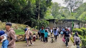 Lonjakan Wisatawan Sisakan Masalah di Kebun Binatang Bandung