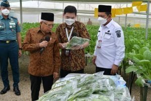 Wapres Minta Batamindo Green Farm Bantu Masyarakat Sekitar Kembangkan Budidaya Pertanian dengan Plasma Farming (Pertanian Plasma)