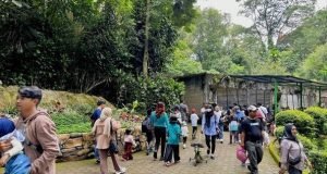 Riuh Polemik Pemkot Bandung Vs Meradangnya Pihak Kebun Binatang