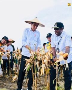 Tinjau Panen Jagung di Food Estate Keerom Papua, Presiden Jokowi Apresiasi Dukungan Irigasi Kementerian PUPR