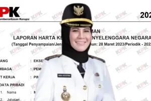 Pimpin Daerah Termiskin di Jawa Barat, Inilah Harta Kekayaan Nina Agustina, Banyak Hutang Tapi Hartanya Puluhan Miliar