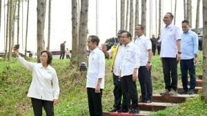 Proyek Istana Negara dan Lapangan Upacara di IKN Telan Rp1,34 T