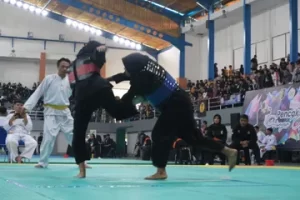 1.200 Atlet Ikuti Kejuaraan Pencak Silat se-Priangan di Garut