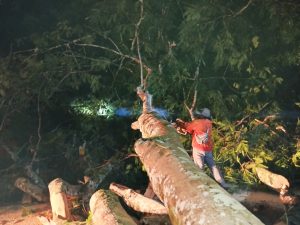 Kabid Humas Polda Jabar: Pohon Tumbang Sempat Tutup Akses Jalan Raya Cikijing-Kuningan