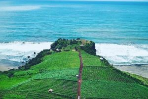 Pantai Guha Garut: Lokasi, Rute, Harga Tiket, dan Tips