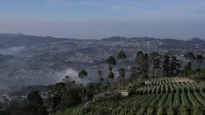 BMKG Ingatkan Potensi Sesar Lembang Mampu Merobohkan Bangunan