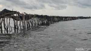 TNI AL Ungkap Arahan Prabowo soal Pembongkaran Pagar Laut di Tangerang