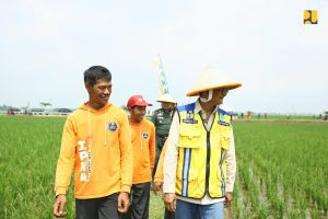 Dukung Produktivitas Pertanian, Menteri PU Soroti Keberhasilan IPHA di Indramayu