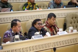 Rapat Bersama Komisi II DPR RI, Wamendagri Ribka Jelaskan Upaya Kemendagri Awasi Pengelolaan Keuangan Daerah