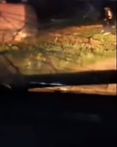 Video Paramedis Bongkar Kebohongan Militer Israel soal Pembantaian Tim Medis di Gaza