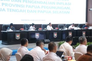 Tiga Provinsi Papua Dipanggil Mendagri, Ada Apa ?