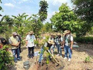 Untung Tanpa Merusak : Jalan Hijau Pegadaian