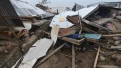 Akibat Cuaca Ekstrem        Puting Beliung Terjang Cianjur, Belasan Pohon Tumbang dan Jalan Tertutup