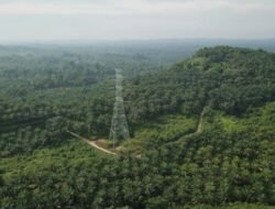 Mulai 2026, Gubernur Dedi Mulyadi Larang Total Penanaman Sawit di Jawa Barat