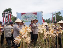 Panen Jagung Serentak Kwartal 1 Tahun 2026 Polda Jabar