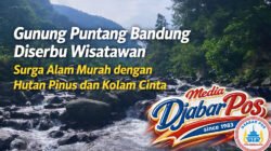 Gunung Puntang Bandung Diserbu Wisatawan, Surga Alam Murah dengan Hutan Pinus dan Kolam Cinta