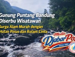 Gunung Puntang Bandung Diserbu Wisatawan, Surga Alam Murah dengan Hutan Pinus dan Kolam Cinta