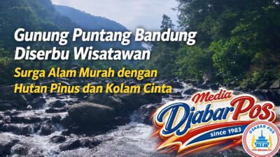Gunung Puntang Bandung Diserbu Wisatawan, Surga Alam Murah dengan Hutan Pinus dan Kolam Cinta
