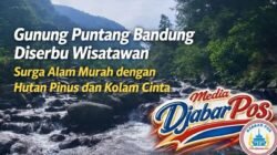 Gunung Puntang Bandung Diserbu Wisatawan, Surga Alam Murah dengan Hutan Pinus dan Kolam Cinta