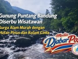 Gunung Puntang Bandung Diserbu Wisatawan, Surga Alam Murah dengan Hutan Pinus dan Kolam Cinta