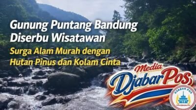 Gunung Puntang Bandung Diserbu Wisatawan, Surga Alam Murah dengan Hutan Pinus dan Kolam Cinta
