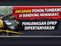 Ancaman Pohon Tumbang di Bandung Meningkat, Pengawasan Dinas Perumahan dan Kawasan Permukiman Kota Bandung Dipertanyakan