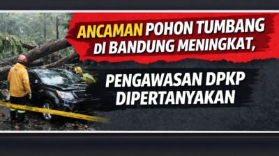 Ancaman Pohon Tumbang di Bandung Meningkat, Pengawasan Dinas Perumahan dan Kawasan Permukiman Kota Bandung Dipertanyakan