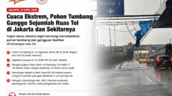 Cuaca Ekstrem, Pohon Tumbang Ganggu Sejumlah Ruas Tol di Jakarta dan Sekitarnya
