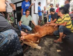 18 Ribu Hewan Kurban di Bandung Dipantau, Farhan Turun Langsung