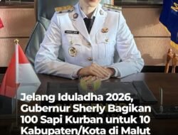 Hadapi Iduladha 1447 H, Pemprov Maluku Utara Siapkan 100 Ekor Sapi Kurban dan Gerakan Pangan Murah