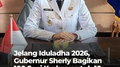 Hadapi Iduladha 1447 H, Pemprov Maluku Utara Siapkan 100 Ekor Sapi Kurban dan Gerakan Pangan Murah