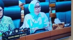 DPR Usulkan 1.000 Bioskop Desa Didanai APBN 2027 untuk Dukung PH Daerah