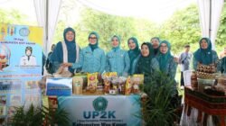 Cerita Kripik Pisang Jadi Sorotan TP PKK di Lampung