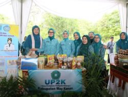 Cerita Kripik Pisang Jadi Sorotan TP PKK di Lampung