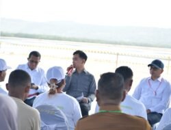 Lapangan Kerja hingga Cold Storage Jadi Fokus Wapres Gibran di Rote