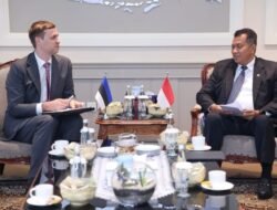 Belajar dari Estonia, Indonesia Tancap Gas Reformasi Digital Birokrasi
