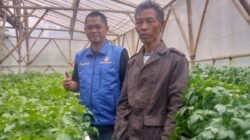 Partai Gema Bangsa Dorong Kemandirian Petani, Cigedug Disiapkan Jadi Sentra Bibit Kentang Unggulan